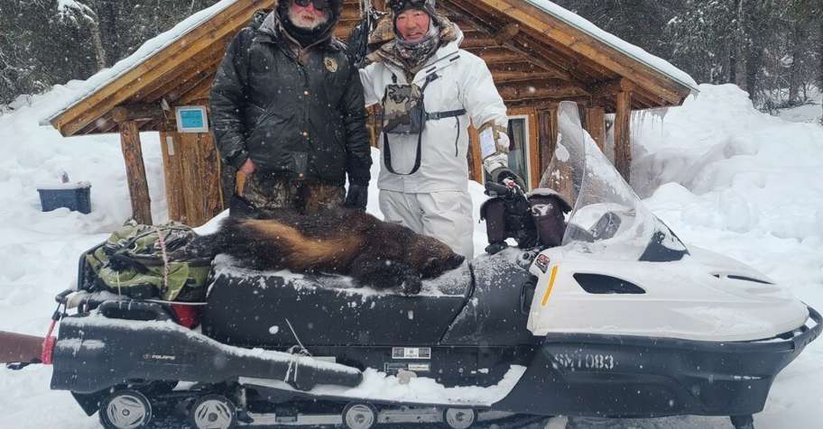 2027 Wolf/Predator Hunt 1x1