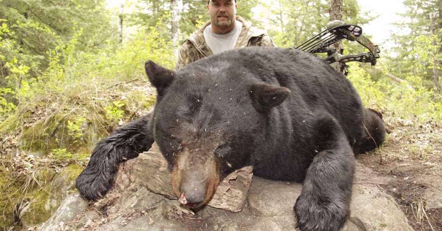 Spring Black Bear Hunt '27