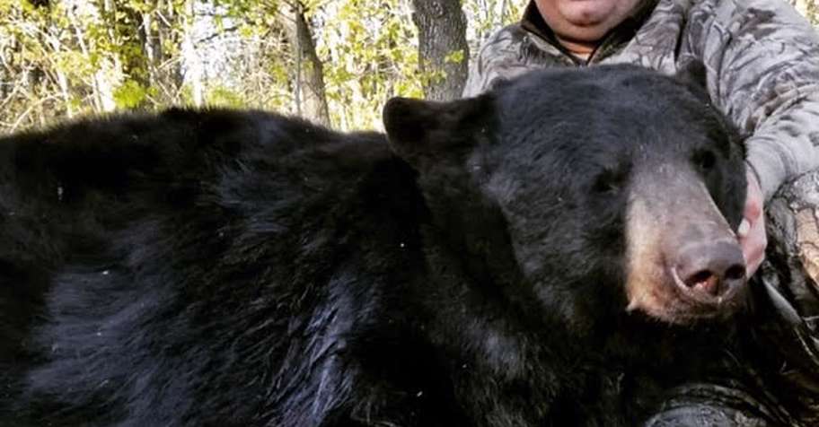 Fall Baited Black Bear Hunt '26