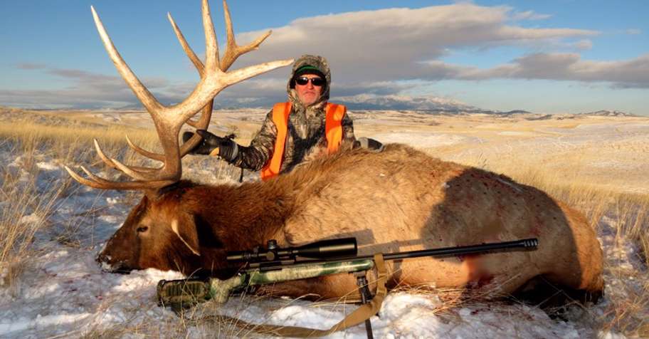 7 Day Archery / Rifle Elk Hunt '24 / Montana, United States 