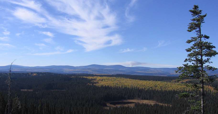 Spring Black Bear Hunt 2x1