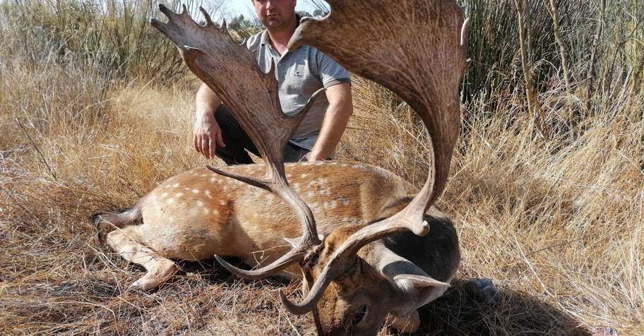 Portugal hunting trips - BookYourHunt.com