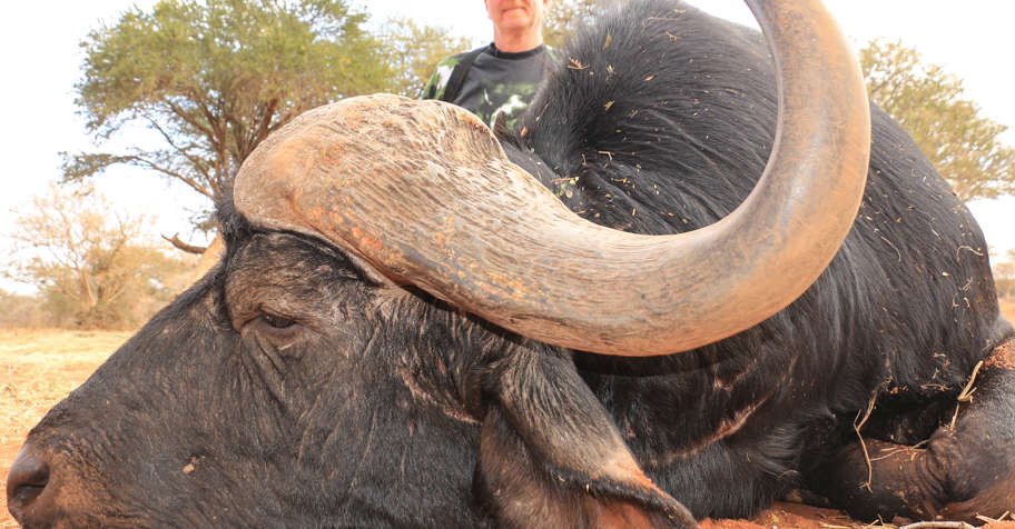 Buffalo Bull Season Special (5 Days)