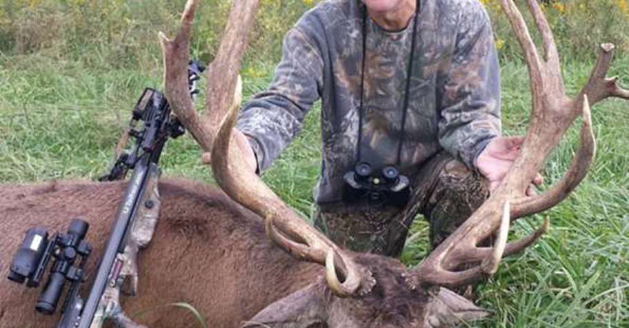 Trophy Red Stag Hunt '26