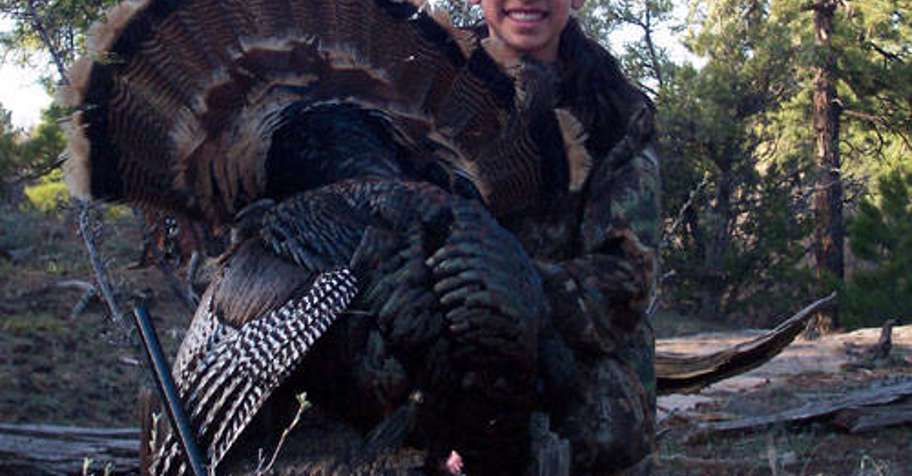 4 Day Limited Entry Turkey Hunt