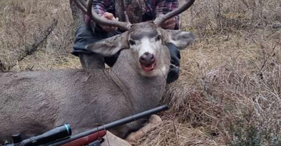 Mule deer Hunt '26