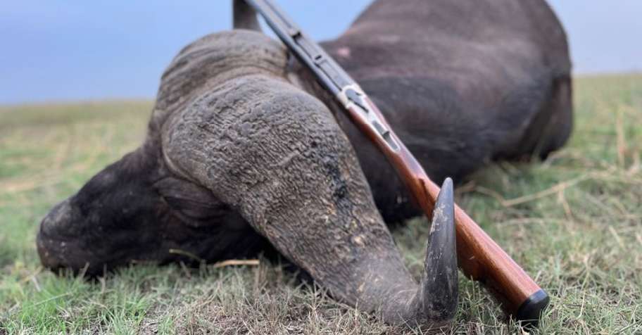 5 Day Caprivi Buffalo Safari (1:1)