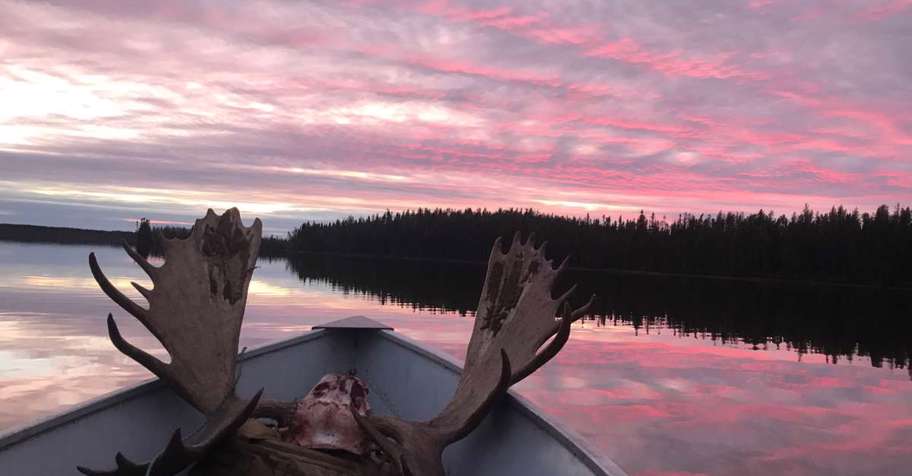 1x1 Guided Rut Moose Hunt '26
