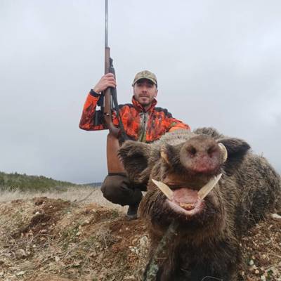 Wild Boar Driven Hunt 9-12 guns / Afyonkarahisar, Turkey - BookYourHunt.com