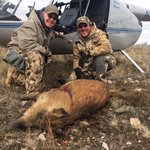 helicopter hog hunting trip texas