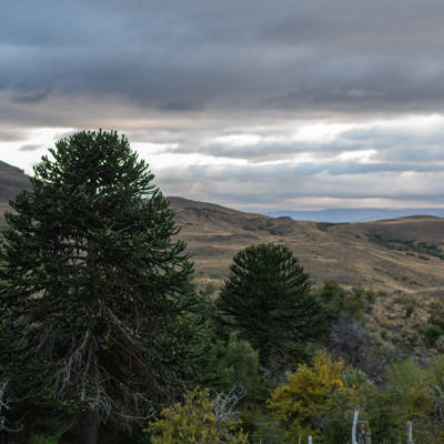 Hunting trips directly from outfitters - A00c69e2 4abb 47c5 888d B5a6bfc1dead Thumbnail 