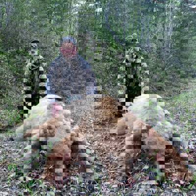 Spring 2 Black Bear Hunt