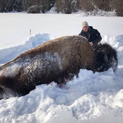 Winter Wild Bison/Wolf 2on1 Hunt 27
