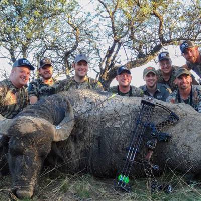 WATER BUFFALO BOWHUNT DEAL