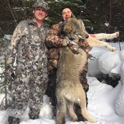 1x1 Wolf Hunt