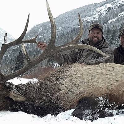 Bighorn Mtn. Trophy Elk Hunt '26