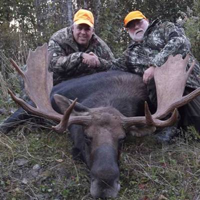 Moose Hunting In New Brunswick Bookyourhunt Com