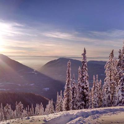 Mountain Lion Hunt '26