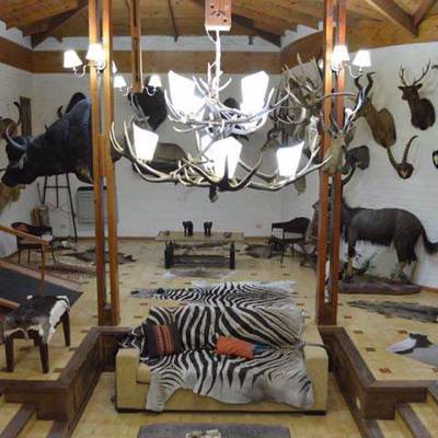 Hunting accommodation