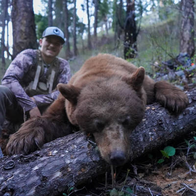 Backcountry Baited Black Bear 2ppl 2026