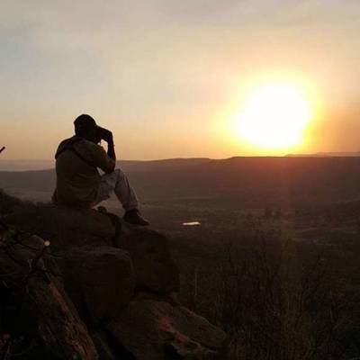 1:1 Classic Plains Game Safari