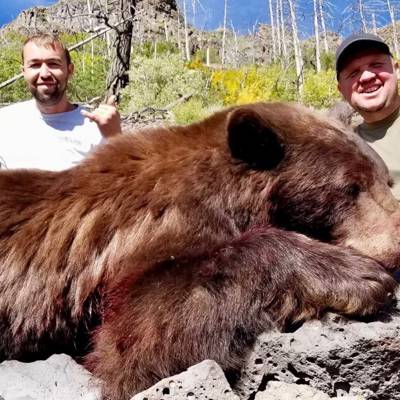 5 Day Black Bear Hunt