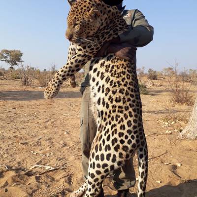 Leopard Safari Package