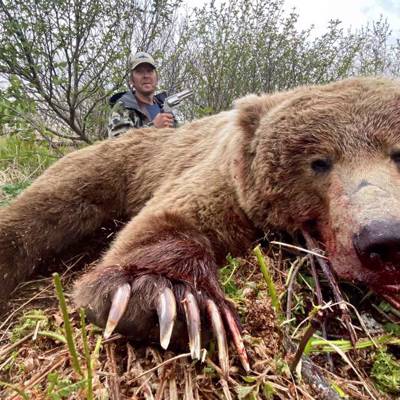 Fall Coastal Brown Bear Hunt