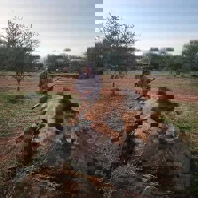 2x1 21-Day Shared Premium Safari