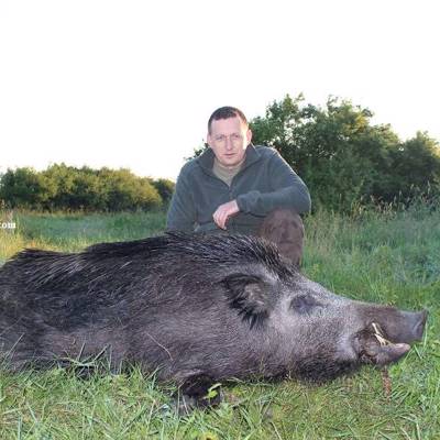 Wild boar hunting in Romania - BookYourHunt.com