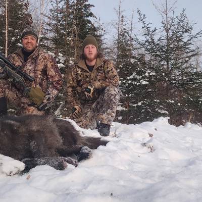 Winter Wolf Hunt in Alberta 2026