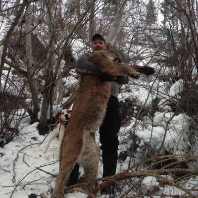 Wilderness Mountain Lion Hunt