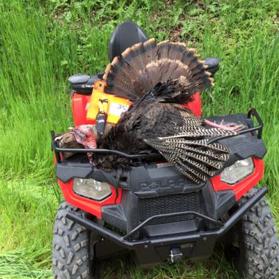 Public Land Turkey Hunt - 2 day