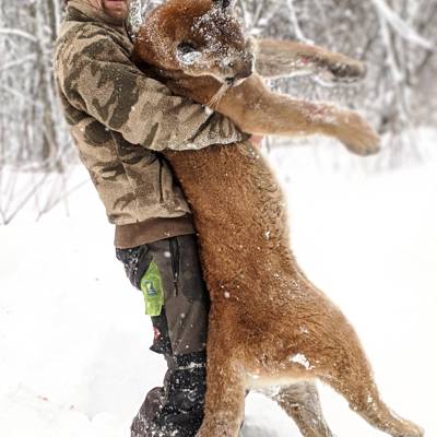 Winter Predator combo hunt