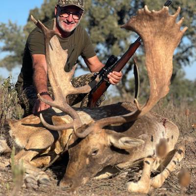 Trophy Fallow Hunt in the Rut Portugal