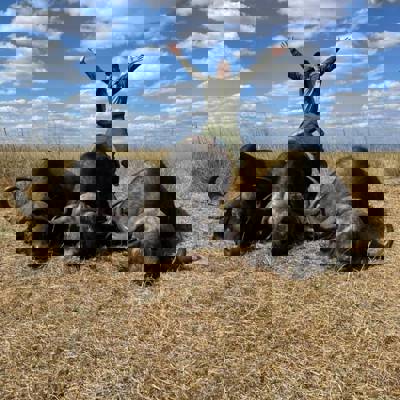 1x1 14-Day Safari (Standard License)