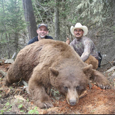 Spring Bear on Horseback '26 1:1