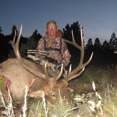 Bull Elk Hunt / New Mexico, United States - BookYourHunt.com