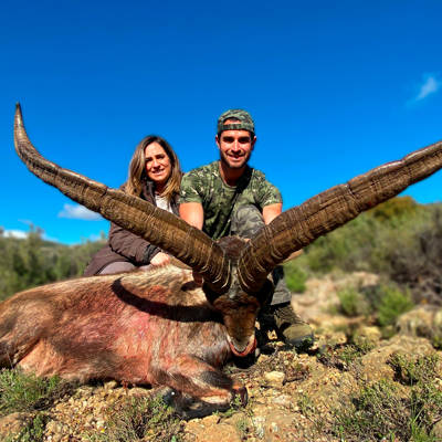 BECEITE SPANISH IBEX, all inclusive!!