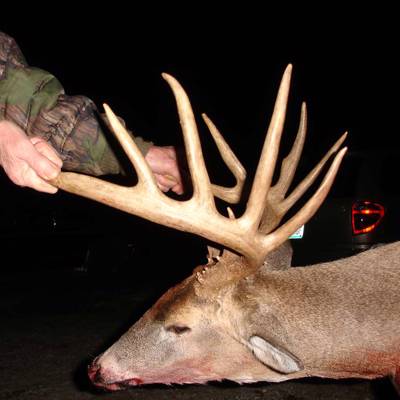 OFF GRID CABIN WHITETAIL Bow or Rifle