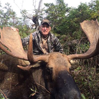 Moose hunting in Newfoundland and Labrador - BookYourHunt.com