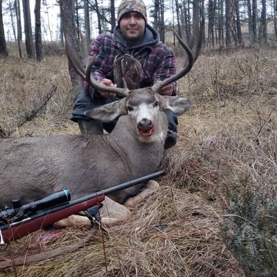 Mule deer Hunt '26