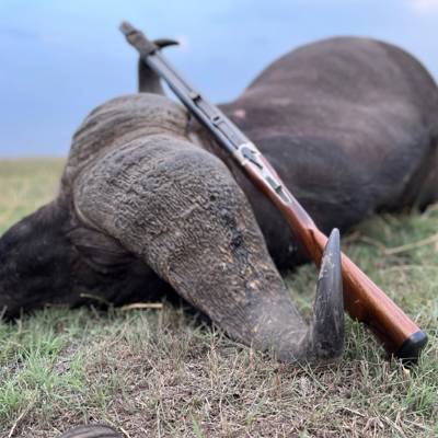 5 Day Caprivi Buffalo Safari (1:1)